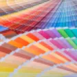 10 Dicas de Cores para Pintar Parede!