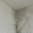 Infiltração em parede - Vejas os cuidados e dicas | Casa do Construtor - Aluguel de equipamentos